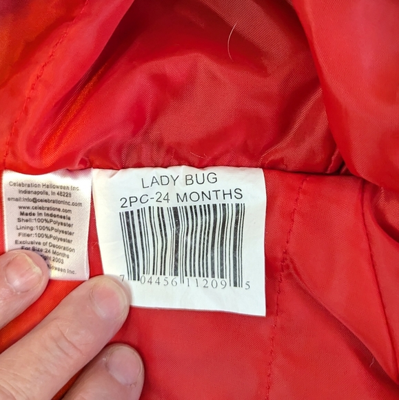 Halloween Ladybug costume - Picture 3 of 5